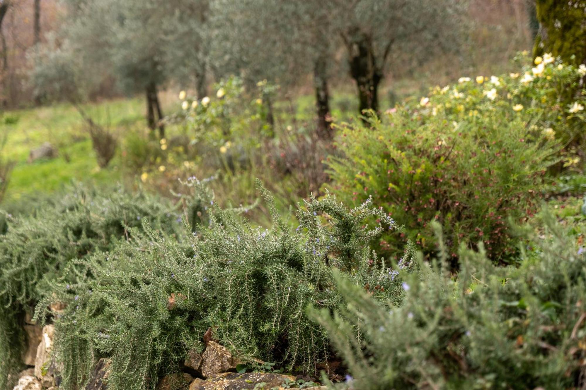 Masseria Boutique B&B Montella Exterior photo